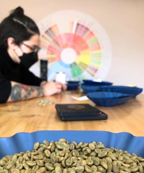 Coffee quality control and cupping